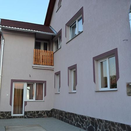 Отель Ersa Panzio Bisericani  Экстерьер фото