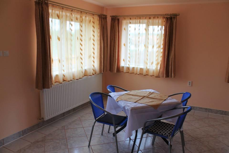 Отель Ersa Panzio Bisericani  Экстерьер фото