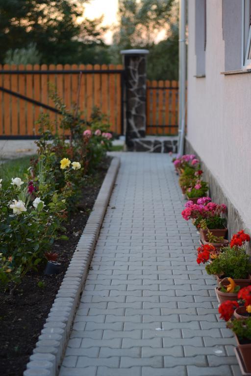 Отель Ersa Panzio Bisericani  Экстерьер фото